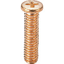 Phosphor Bronze Pan Head Machine Screws for Precision Instruments (Miniature Screws)